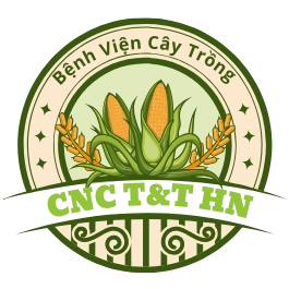 Bệnh viện cây trồng